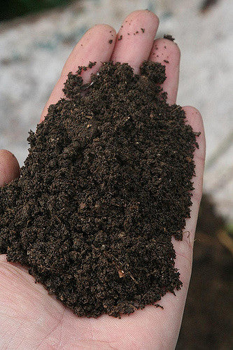 Do’s And Don’t in Composting in Your Home
